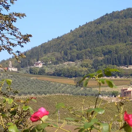 팜스테이 I Veroni - And Wine Cellar