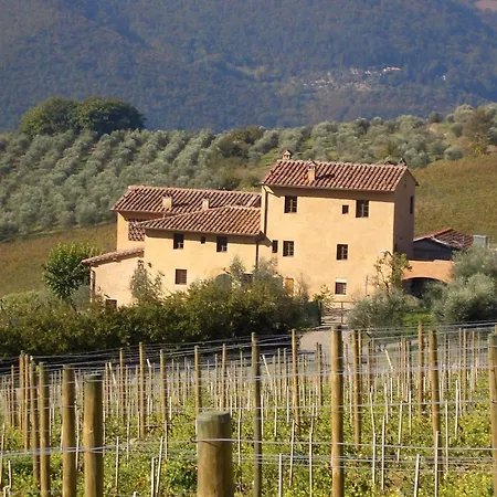 I Veroni - And Wine Cellar 폰타씨에베