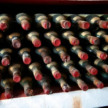 팜스테이 I Veroni - And Wine Cellar *