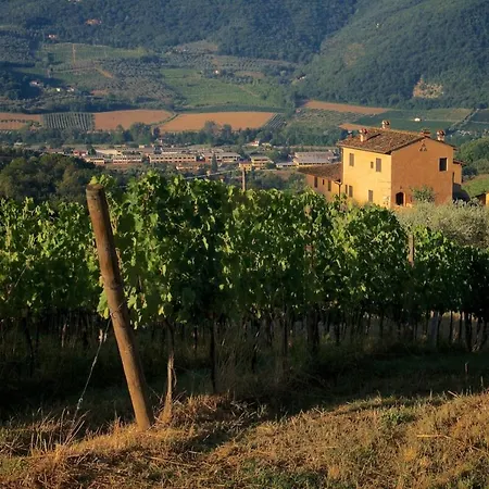 I Veroni - And Wine Cellar 팜스테이