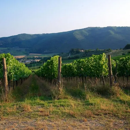 I Veroni - And Wine Cellar *